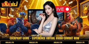 Cockfight Game - Experience Virtual Avian Combat Now
