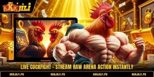 Live Cockfight - Stream Raw Arena Action Instantly