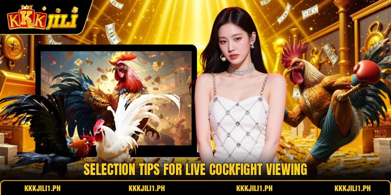 Selection tips for live cockfight viewing